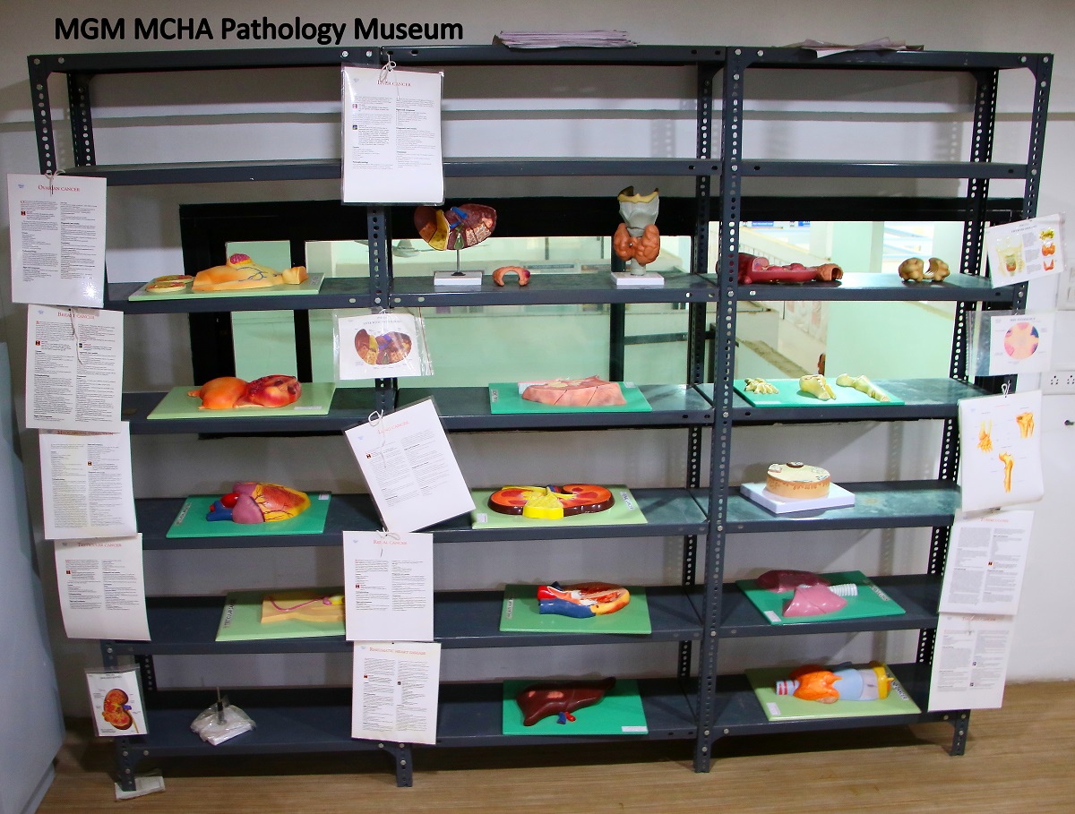 Patho Museum - Aurangabad